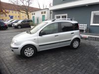 gebraucht Fiat Panda 1.2 8V Dynamic, Zahnriemen gewechselt