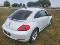 gebraucht VW Beetle Sport - top Zustand