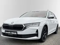 Gebraucht Skoda Octavia Selection 150 PS (110 kW) 2024 Moonweiss metallic Kombi