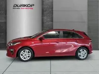 Gebraucht Kia Ceed Vision 140 PS (102 kW) 2019 Rot Kleinwagen
