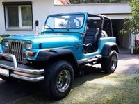 Gebraucht Jeep Wrangler 121 PS (88 kW) 1995 Blau SUV
