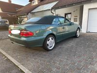 gebraucht Mercedes CLK320 AVANTGARDE Avantgarde