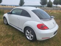 gebraucht VW Beetle Sport - top Zustand