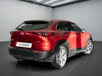 Gebraucht Mazda CX-30 122 PS (89 kW) 2020 Rot SUV