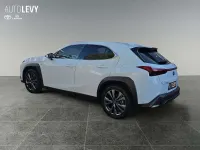Gebraucht Lexus UX 300h Sport Design Packet 199 PS (146 kW) 2024 Weiß SUV