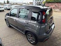 Gebraucht Fiat Panda Cross Cross 69 PS (50 kW) 2022 Colosseo grau Kleinwagen