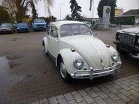 Gebraucht VW Käfer 39 PS (28 kW) 1966 Weiß