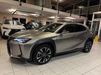 Gebraucht Lexus UX 250h 152 PS (111 kW) 2022 Silber SUV