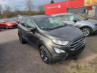 Gebraucht Ford Ecosport Titanium 125 PS (91 kW) 2019 Grau SUV