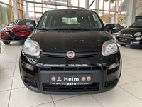 Gebraucht Fiat Panda 69 PS (50 kW) 2024 Schwarz Kleinwagen