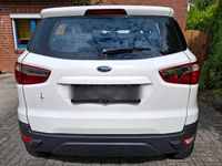 Gebraucht Ford Ecosport Trend 125 PS (91 kW) 2017 Weiß SUV