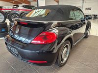 Gebraucht VW Beetle Cabriolet Design 105 PS (77 kW) 2014 Schwarz Cabrio