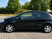 Gebraucht Fiat Punto 69 PS (50 kW) 2011 Violett Kleinwagen