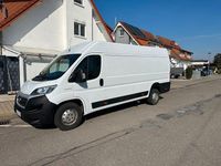 Gebraucht Fiat Ducato 150 PS (110 kW) 2019 Weiß Van