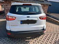 Gebraucht Ford Focus Sport 101 PS (74 kW) 2019 Weiß SUV