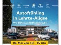 Gebraucht VW Golf VIII Move 150 PS (110 kW) 2024 Delfingrau (metallic) Limousine