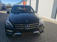 Gebraucht Mercedes ML350 258 PS (189 kW) 2014 Schwarz SUV