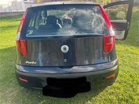 gebraucht Fiat Punto 