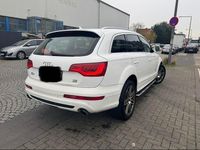 Gebraucht Audi Q7 Sport 239 PS (175 kW) 2010 Ibisweiss SUV