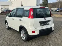 Gebraucht Fiat Panda 70 PS (51 kW) 2024 Weiß Kleinwagen