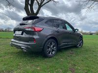 Gebraucht Ford Kuga ST-Line X 151 PS (111 kW) 2020 Grau SUV