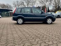 Gebraucht Ford Fusion 90 PS (66 kW) 2009 Blau Kleinwagen