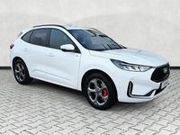 Neu Ford Kuga ST-Line X 186 PS (136 kW) 2025 Frostweiß SUV