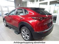 Gebraucht Mazda CX-30 Selection 122 PS (89 kW) 2020 Rot SUV