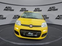 Neu Fiat Panda Icon 69 PS (50 kW) 2026 Gelb Kleinwagen