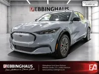 Usata Ford Mustang Mach-E 231 kW (315 CV) 2024 Grigio SUV