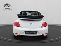 gebraucht VW Beetle Cabriolet Allstar BMT