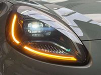 Neu Ford Puma Titanium 125 PS (91 kW) 2025 Cactusgrey SUV