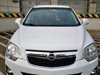 Gebraucht Opel Antara Cosmo 167 PS (122 kW) 2013 Weiß SUV