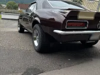 Gebraucht Chevrolet Camaro 280 PS (205 kW) 1967 Coupé