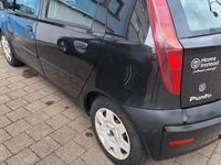 gebraucht Fiat Punto 