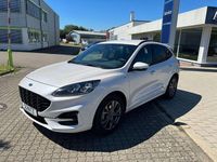 Usata Ford Kuga ST-Line X 150 CV (110 kW) 2021 Bianco SUV