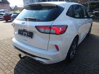 Gebraucht Ford Kuga ST-Line 150 PS (110 kW) 2023 Weiß SUV