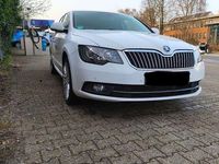 Gebraucht Skoda Superb Elegance 260 PS (191 kW) 2014 Weiß Limousine