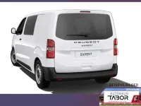 Neu Peugeot Expert 150 PS (110 kW) 2026 Kaolin weiß Van