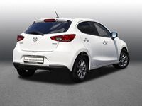 Gebraucht Mazda 2 Exclusive-Line 75 PS (55 kW) 2023 Weiß Kleinwagen