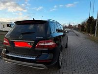 Gebraucht Mercedes ML250 204 PS (150 kW) 2013 Schwarz SUV