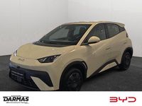 Neu BYD Dolphin Surf Active 64 kW (88 PS) 2025 Ice blue Kleinwagen