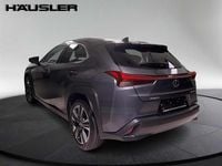 Gebraucht Lexus UX 250h 152 PS (111 kW) 2023 Grau SUV