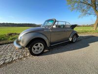 Gebraucht VW Käfer 44 PS (32 kW) 1979 Cabrio