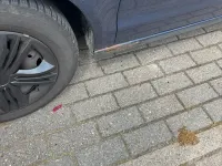 Używany VW Polo 64 KM (47 kW) 2008 Niebieski Hatchback