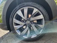 Gebraucht VW Taigo Style 110 PS (80 kW) 2025 Grün SUV