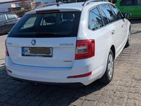 Gebraucht Skoda Octavia GreenLine 110 PS (80 kW) 2014 Weiß Kleinwagen