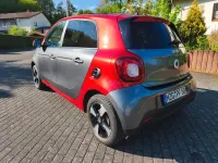 Używany Smart ForFour 90 KM (66 kW) 2019 Szary Hatchback