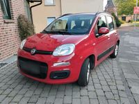 Gebraucht Fiat Panda 86 PS (63 kW) 2014 Rot Kleinwagen