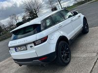 Gebraucht Land Rover Range Rover evoque Pure 150 PS (110 kW) 2016 Weiß SUV